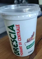 Yogurt magro centrale di Brescia