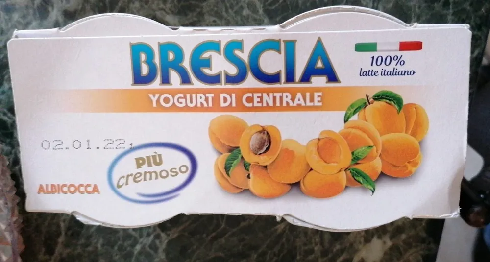 Yogurt