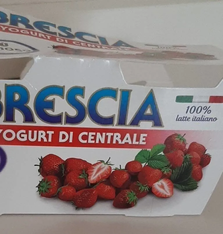 Yogurt