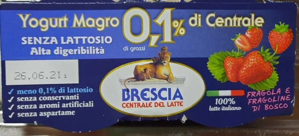 Yogurt magro senza lattosio alta digeribilità