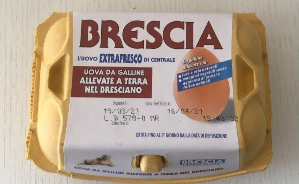 Uova da galline allevate a terra nel bresciano