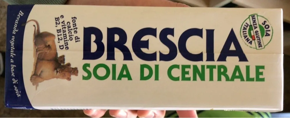 Latte di soia