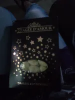 Dragées au chocolat - Vert anis