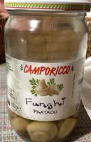Funghi