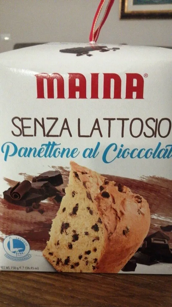 Panettone al cioccolato senza lattosio