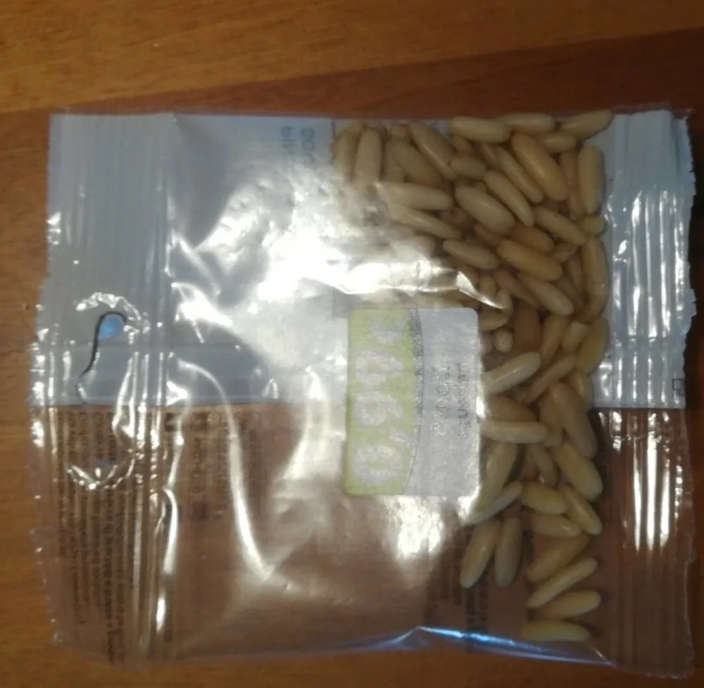 Pulinoli sgusciati