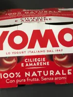 Yogurt ciliegie e amarene