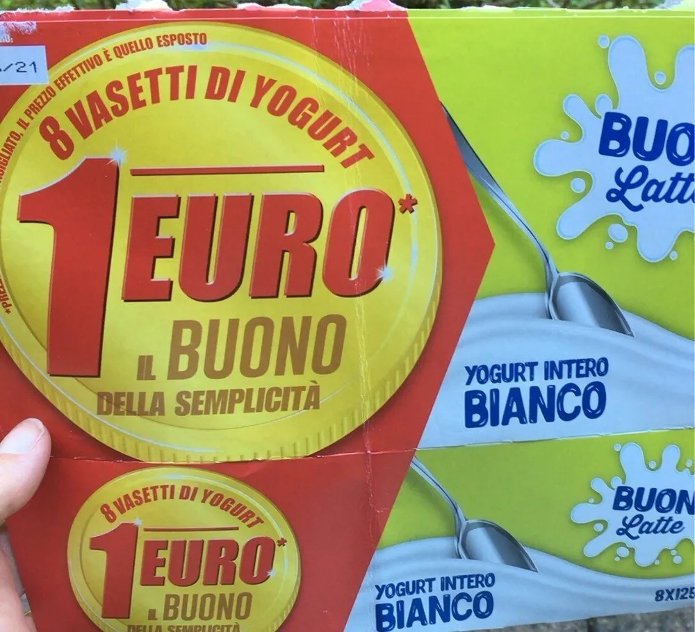 Yogurt intero bianco