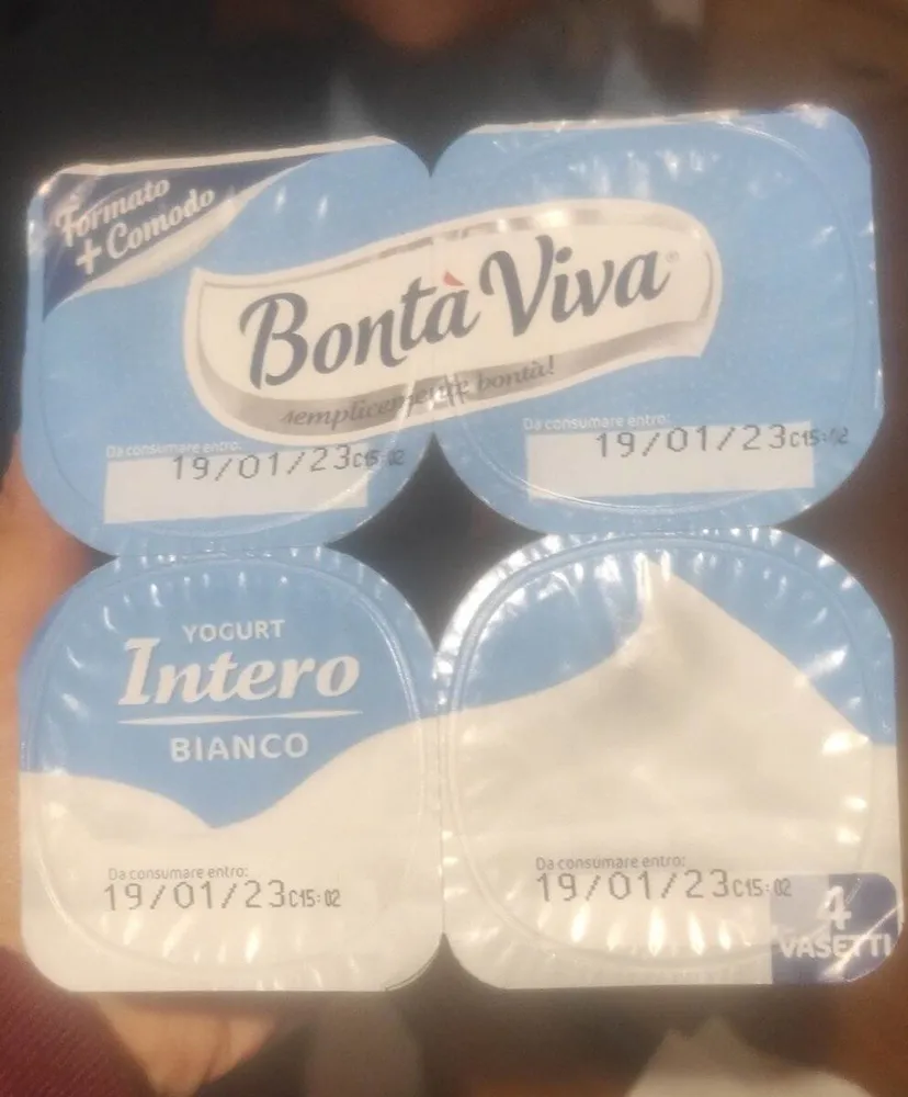 Yogurt intero bianco