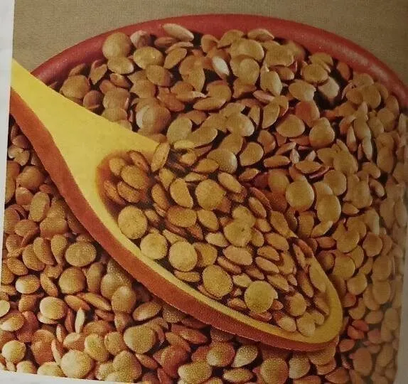 Lenticchie subito pronte