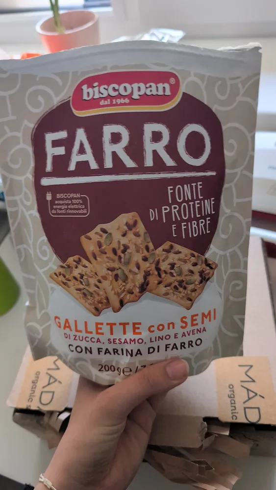 Gallette con Semi di Zucca, Sesamo, Lino e Avena con Farina di Farro