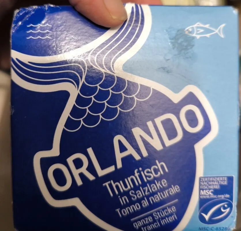 Thunfisch