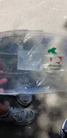Mortadella avec pistaches