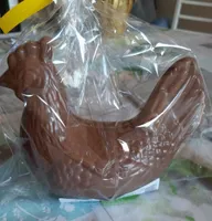 Gallinella