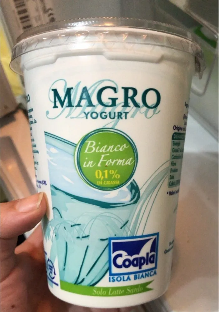 Yogurt magro