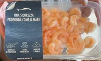 Mazzancolla tropicale