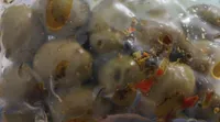 Olive verdi condite