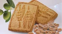 Biscotti  biolocici integrali avena
