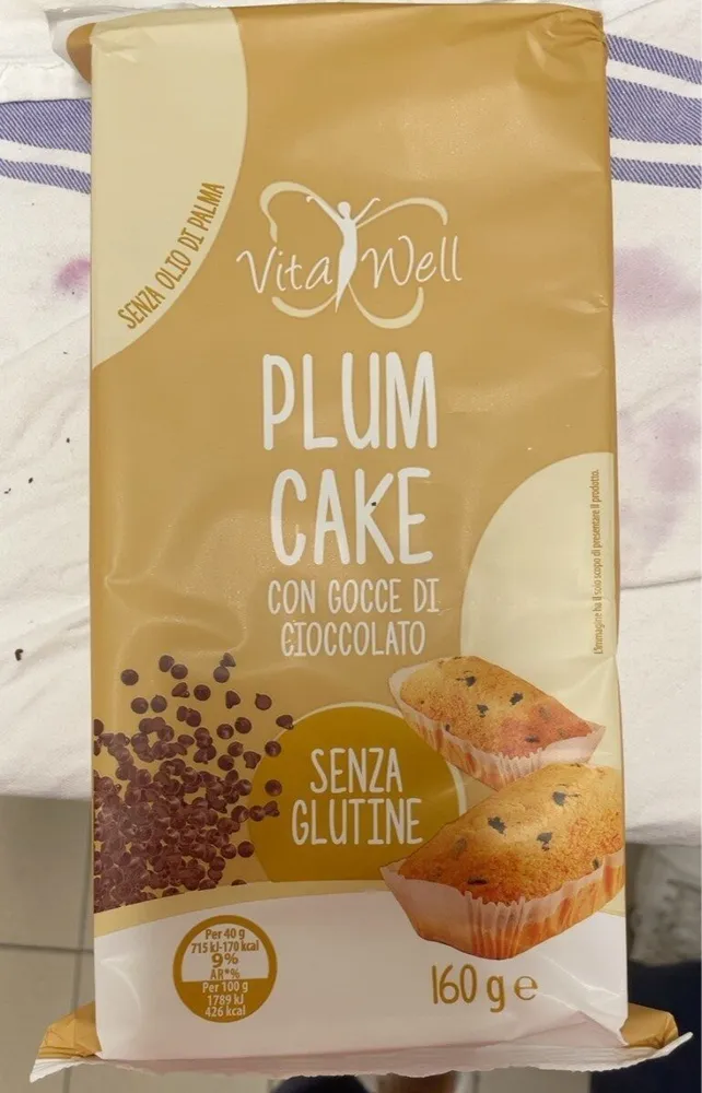 plumcake con gocce di cioccolato