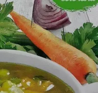 Brodo vegetale
