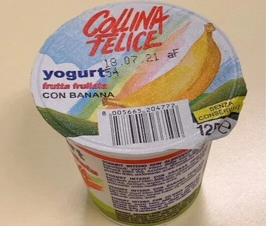 Yogurt frutta frullata