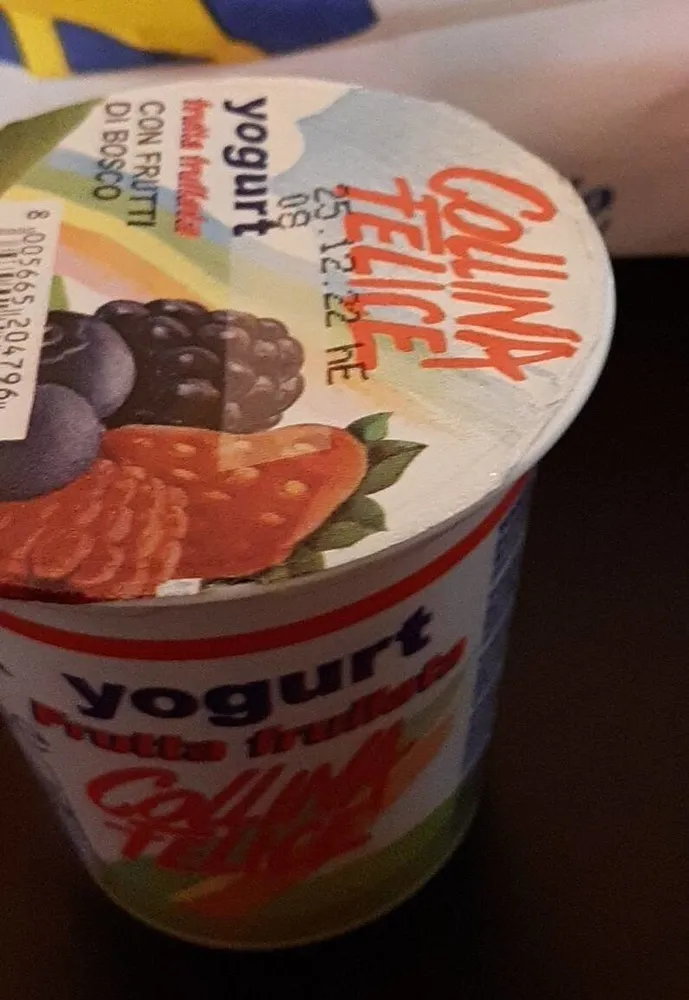 Yogurt con frutti di bosco