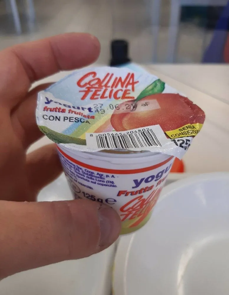 Yougurt