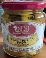 Funghi porcini