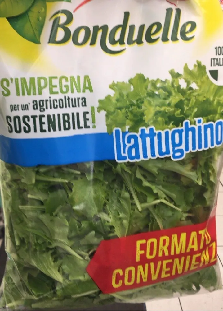 Lattughino