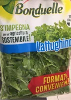 Lattughino