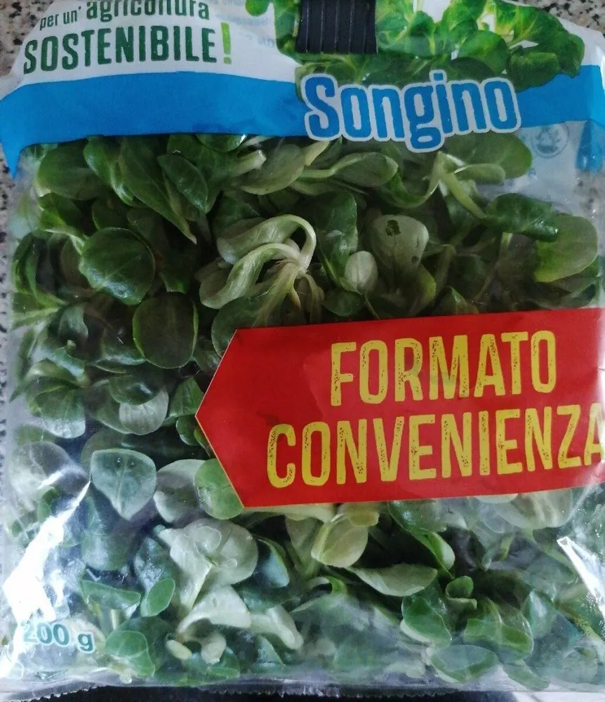 Songino