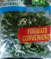 Songino
