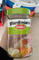 Giardiniera