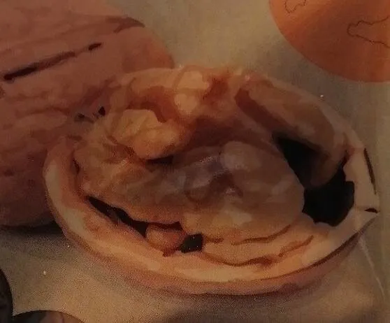 Noci in guscio italiane
