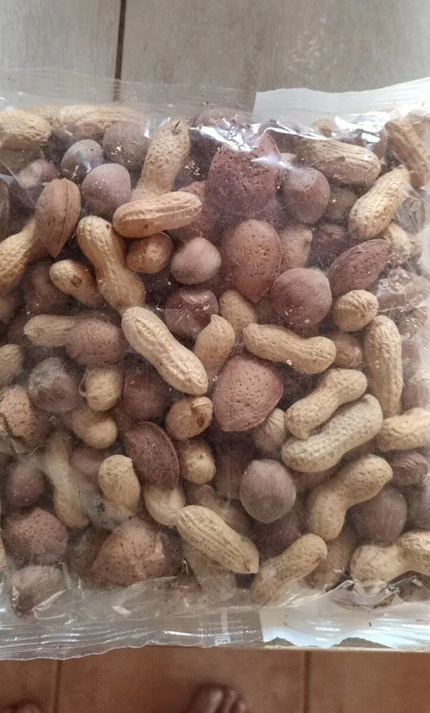 Misto 3 gusci