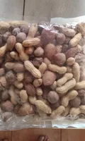 Misto 3 gusci