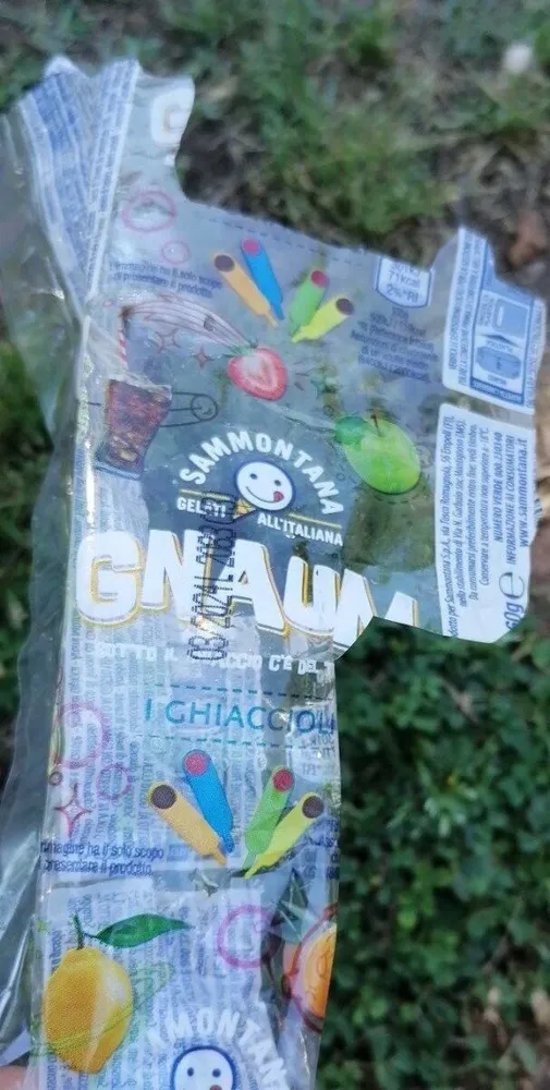 Gnaum
