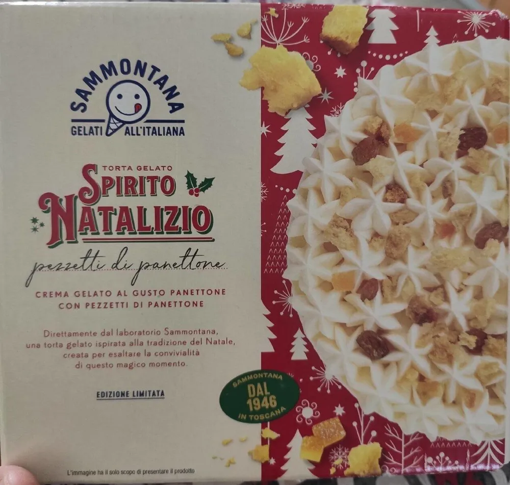 Torta gelato Spirito Natalizio