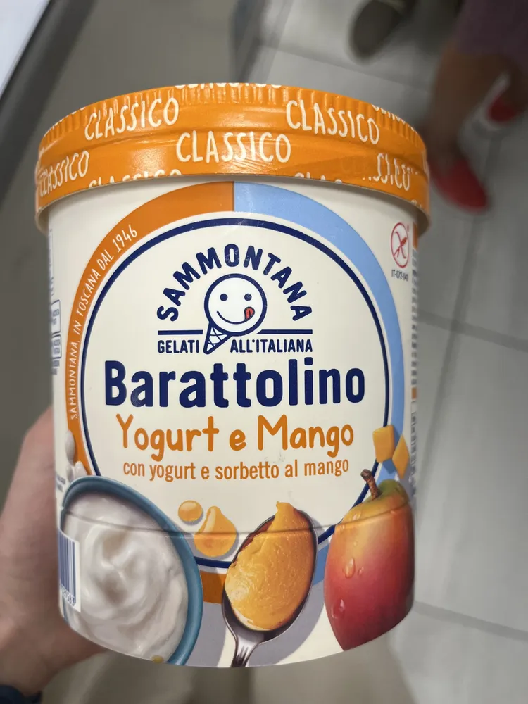 Barattolino Yogurt E Mango