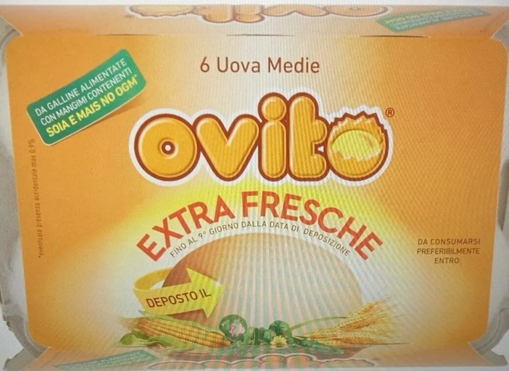 6 Uova Medie
