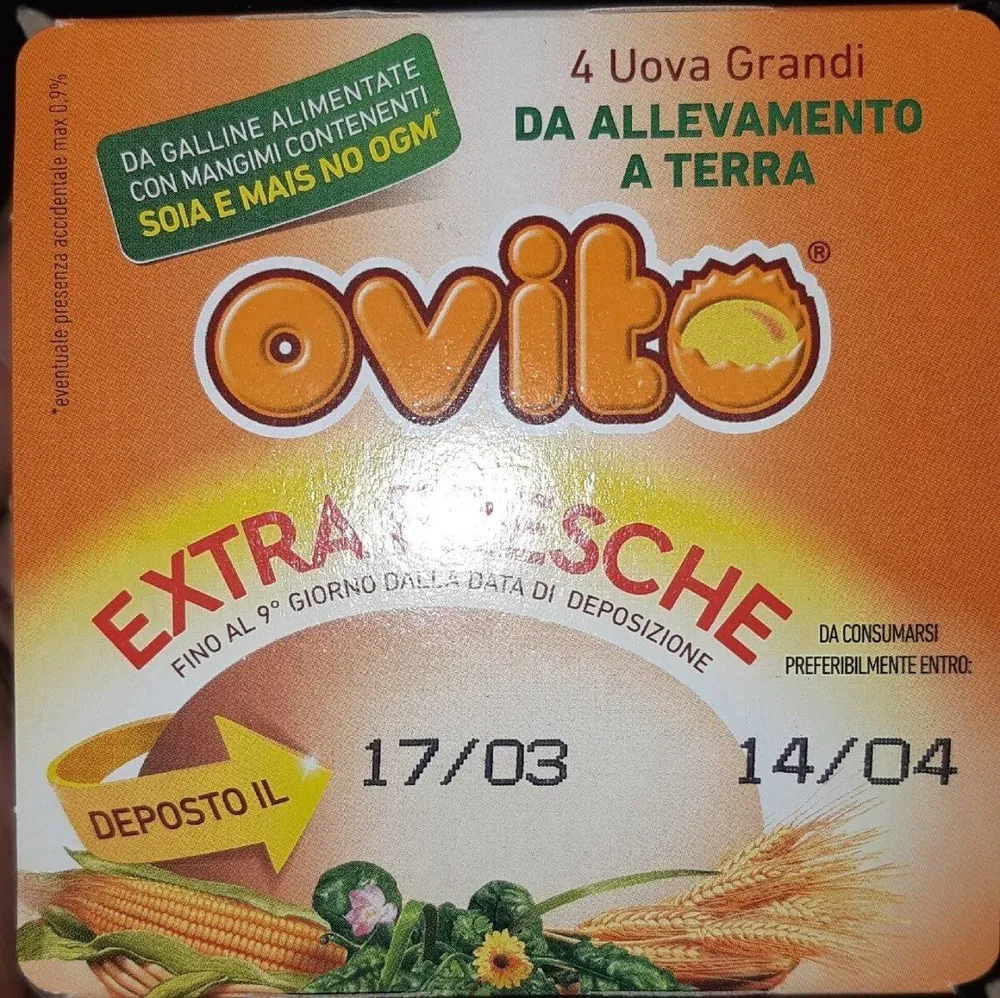 Uova extra fresche