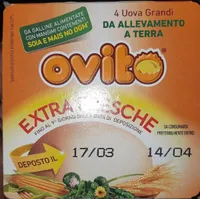 Uova extra fresche
