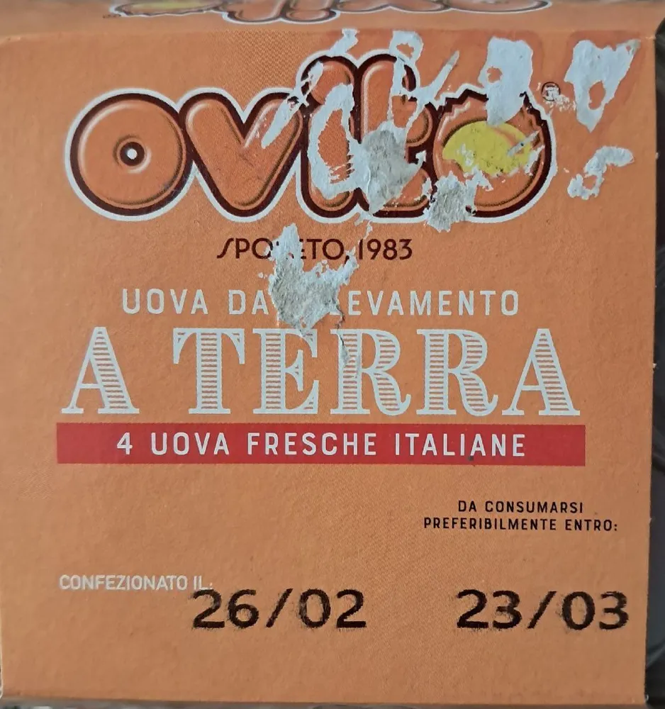 4 uova da allevamento a terra Ovito
