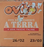 4 uova da allevamento a terra Ovito