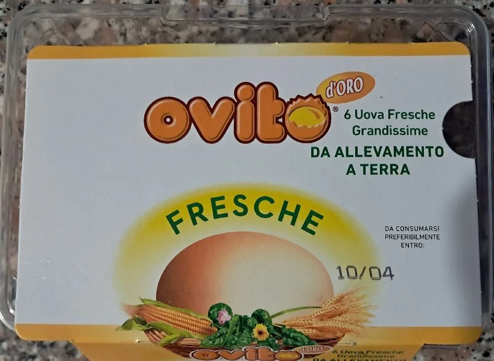 Ovito 6 uova fresche grandissime