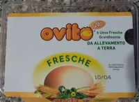 Ovito 6 uova fresche grandissime