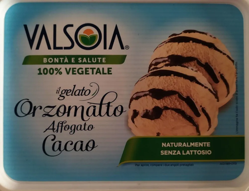 Crème glacée végétale Orge & Cacao