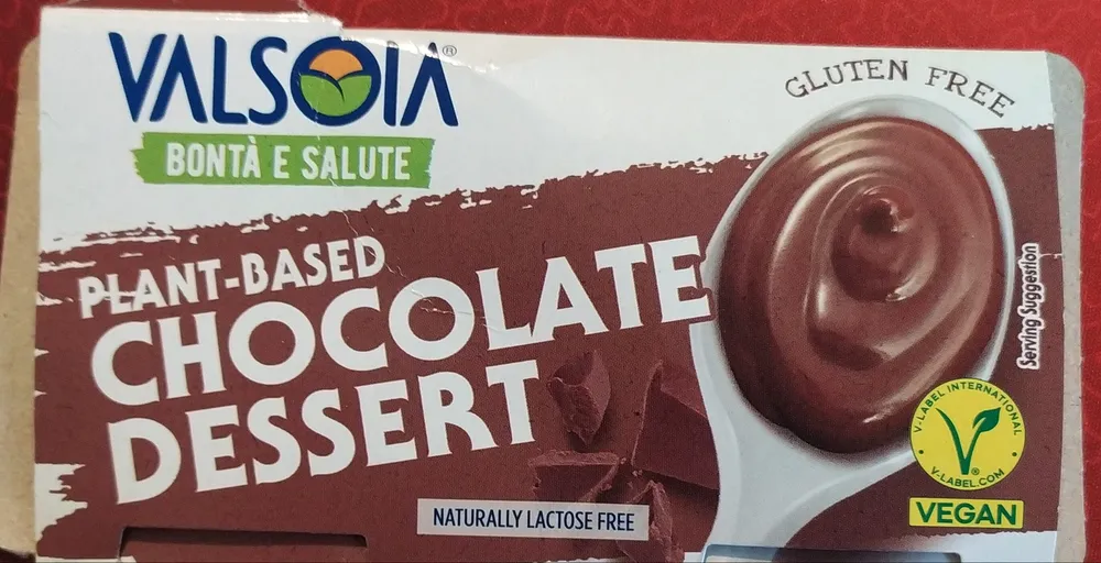 Plant-based chocolate dessert