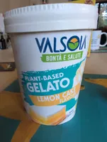 Plant Based Gelato