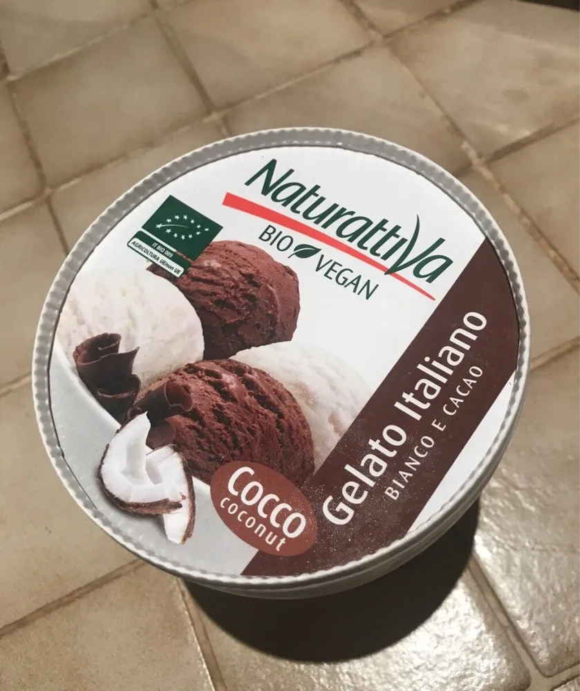 Glace chocolat coco vegane